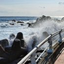 울진해양경찰서 이미지