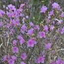 산업도로변 이미지