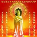 너나 잘하세요 이미지