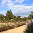 영남대학교 이미지