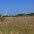 대부바다향기 테마파크 이미지