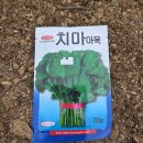 아욱골 농장 네이버블로그