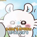 모몽가 이미지