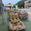 농산물빠박이네