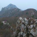 땅끝 남도의 향기 이미지