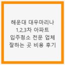 대우마리나3차아파트 | 해운대 대우마리나 1,2,3차 아파트 입주청소 전문 업체 잘하는 곳 추천 비용 후기