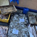 잠뱅이수산 | 대천 보령 석화 조개 수산물 저렴한곳 고향수산 후기