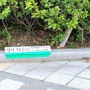 옥포 공영주차장 앞 이미지