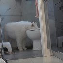 마심 이미지