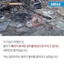 똘이농장 이미지