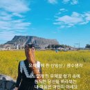 산방산광수네