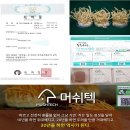 토피