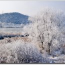 겨울여행 이미지