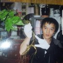 제３칼라 이미지
