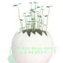 그린디자인