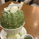 클로리스 | 코엑스몰 카페 커피 홍차 맛집 클로리스 추천 아기랑 내돈내산 후기