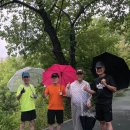 폭우속 걷기[뜀꾼] 이미지