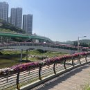 영덕2동 이미지