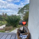 마담퐁텐 이미지