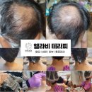 엘라비(ellab)
