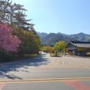 미산2구 이미지