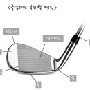 보보스크린골프 이미지