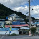 고명목장 | 남해 양떼목장근처 맛집 냇가집잔치국수 내돈내산