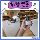 [3차] 나만의 독서등 만들기 | 나만의 향수 만들기 취향연못