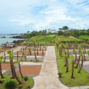 곽지몬스터캠핑 이미지