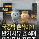 국중박에 곧 전시된다는 반가사유 라이언&amp;춘식이 포토존 이미지