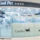 서울하은동물병원 이미지
