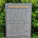 방학동 은행나무 | 정의공주 양효공 안맹담의 묘 / 방학동 은행나무 / 쌍문역사산책길