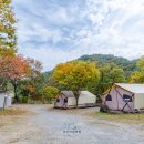 무릉도원면-10 이미지