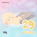 B30. 임신 29주-32주 기록 (입체초음파, 산청숯불가든, 백일해주사, 만삭사진)