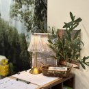 작은별 바이올린 교습소 | 신림역바이올린학원 더베럴뮤직 직장인 퇴근 후 취미 레슨 후기