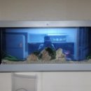 충민로4길 이미지