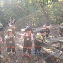 소새울어린이집 이미지