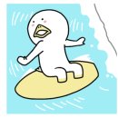 디아이인터내셔널 이미지