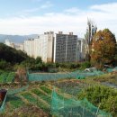 화명동을 가다 1편﻿ - 동원로얄듀크와 롯데카이저 단지 주변을 보고서.... 이미지