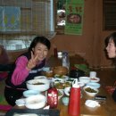 보리와 차이야기 이미지