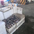 묵호어판장 이미지