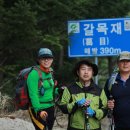 한금 이미지