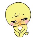 현대카쌍용 | 2025 현대 베뉴 신차 계약 후기 / 블루링크 / 현대 모빌리티 카드 발급