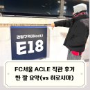 부여군종합운동장 잔디구장 | 2026 FC서울 첫 직관 후기 아챔엘리트 8차전 vs 산프레체 히로시마 / AFC Champions League Elite 김기...