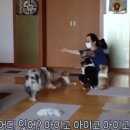 옥순농장 이미지