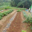 부춘농장 이미지