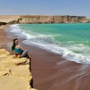 이채원 카카오 검색결과