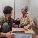 곡성삼강원 이미지