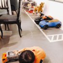 릴리펏롯데백화점부산본점 이미지