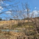 마망펜션 이미지